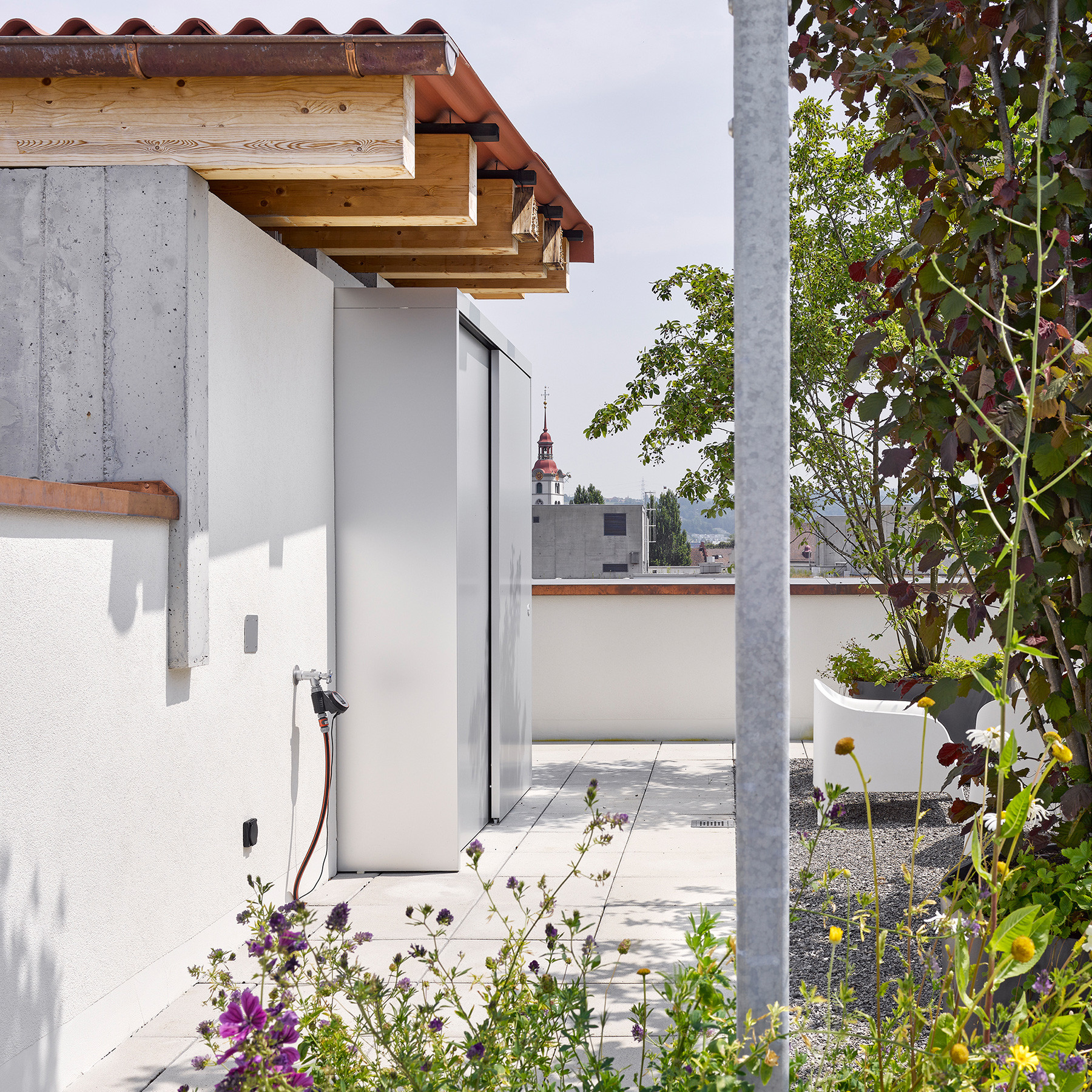 Ausschnitt der Dachterrasse mit Blick auf Dachkonstruktion und Bepflanzung.